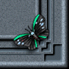 images/ady_g93bottomR3.gif (8448 bytes)