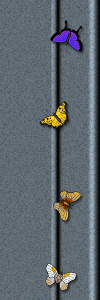 images/ady_g93rightimage.gif (18948 bytes)