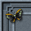 images/ady_g93topl3.gif (8389 bytes)