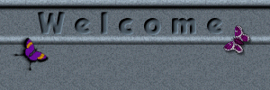images/ady_g93welcome.gif (17275 bytes)